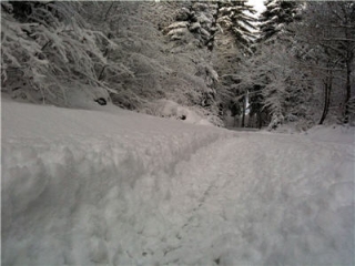 Winterlauf am 30.01.2010